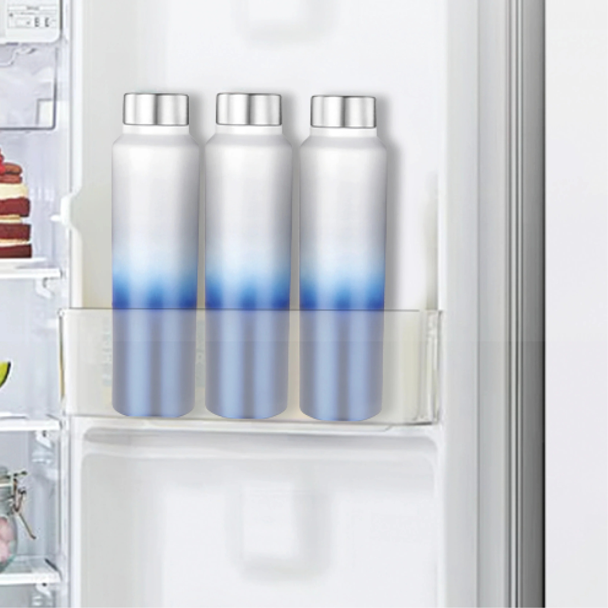 Stainless Steel Spring Hydrate Matt Finish Water Bottle (1000ml)