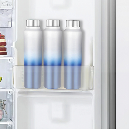 Stainless Steel Spring Hydrate Matt Finish Water Bottle (1000ml)